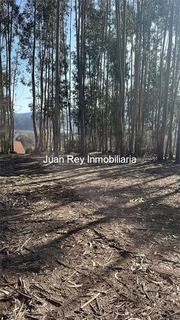 Foto 11 1003 FINCA EDIFICABLE A LA VENTA EN MEIS 