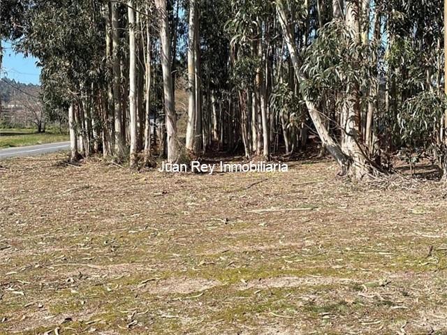 1003 FINCA EDIFICABLE A LA VENTA EN MEIS 