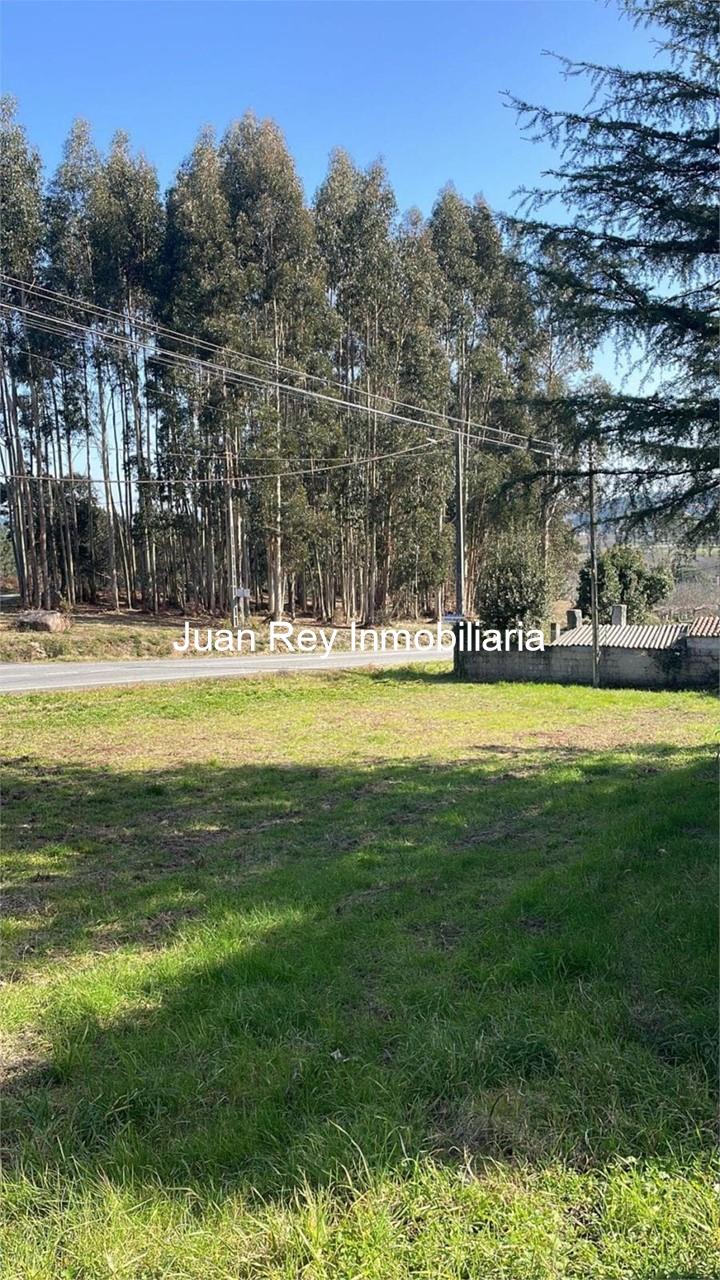 Foto 5 1004 FINCA EDIFICABLE A LA VENTA EN MEIS