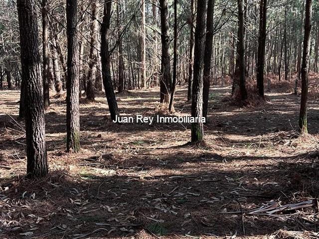 1005 TERRENO A LA VENTA EN MEIS