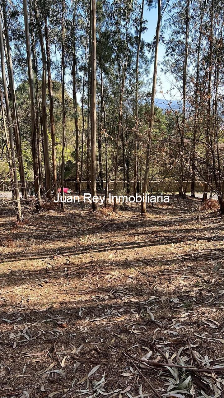 Foto 5 1005 TERRENO A LA VENTA EN MEIS