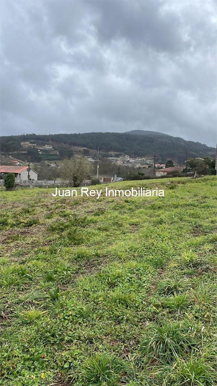 Foto 5 1008 FINCA EDIFICABLE A LA VENTA EN MEIS