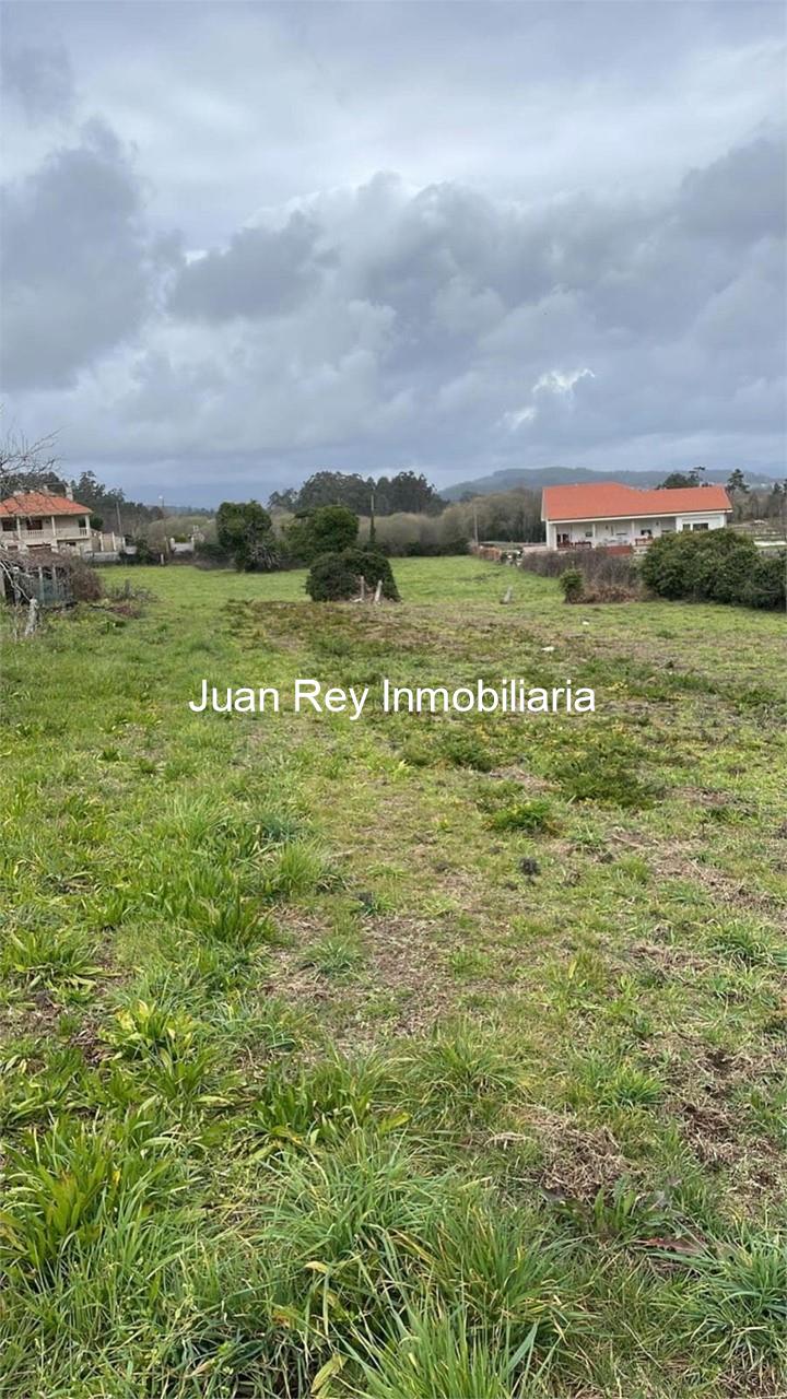 Foto 6 1008 FINCA EDIFICABLE A LA VENTA EN MEIS