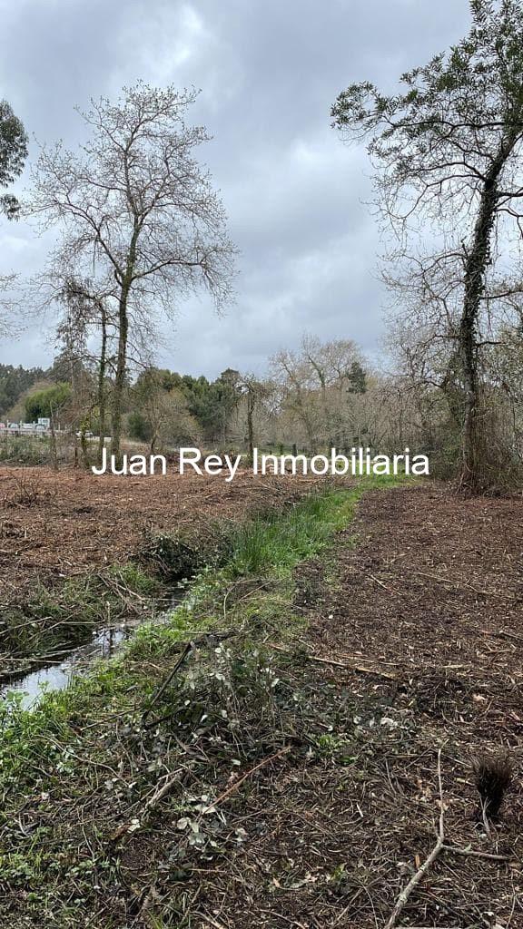 Foto 5 1009 TERRENO A LA VENTA EN RIBADUMIA 