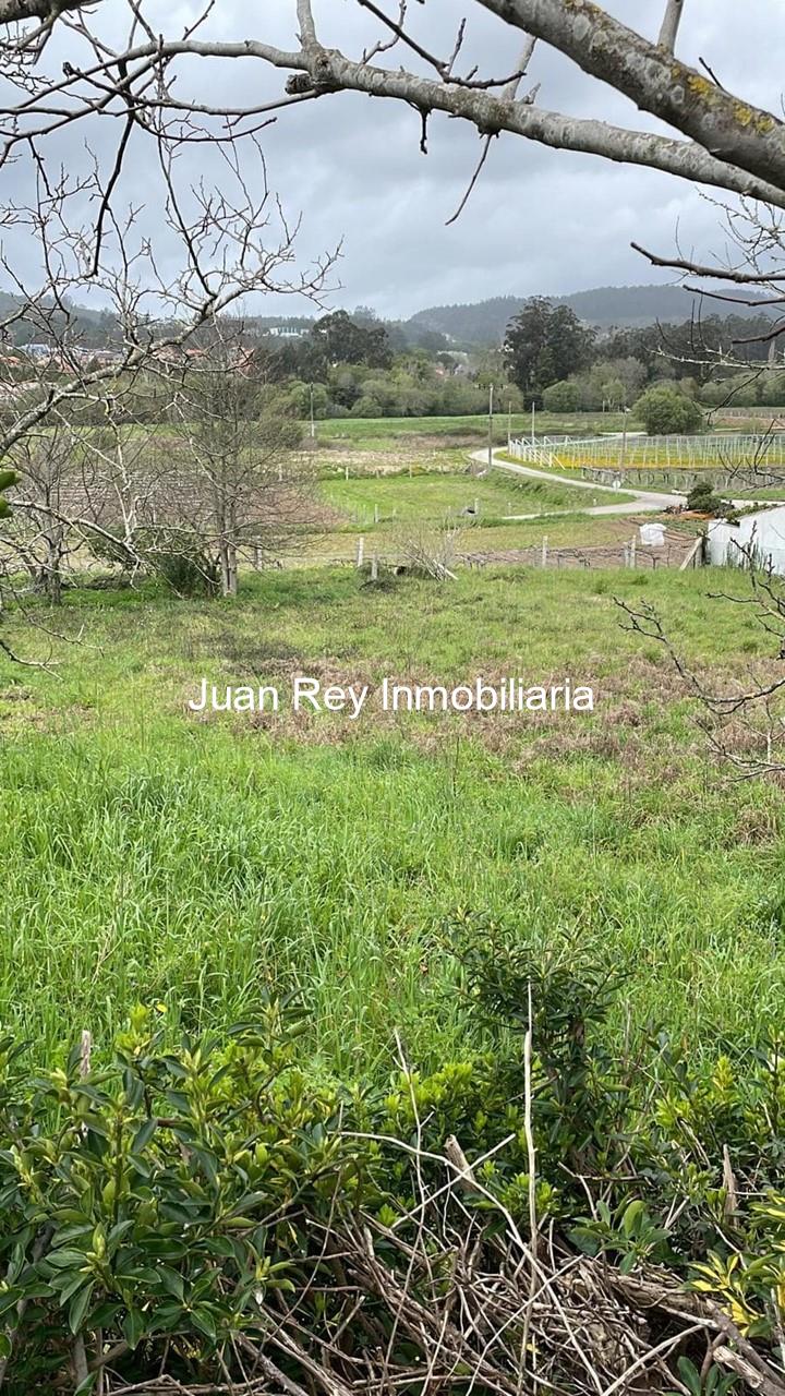 Foto 3 1010 FINCA EDIFICABLE A LA VENTA EN MEIS