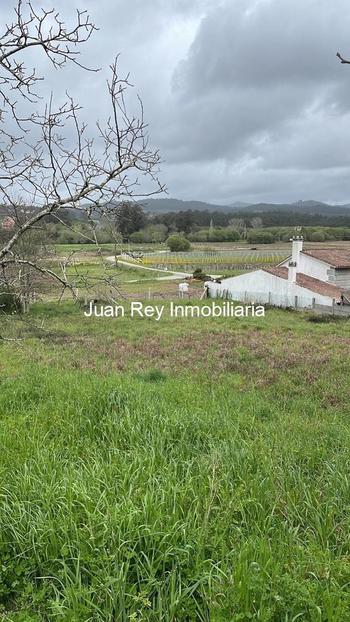 Foto 4 1010 FINCA EDIFICABLE A LA VENTA EN MEIS