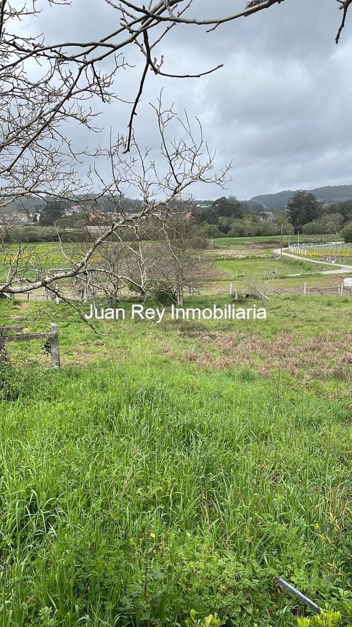 Foto 5 1010 FINCA EDIFICABLE A LA VENTA EN MEIS