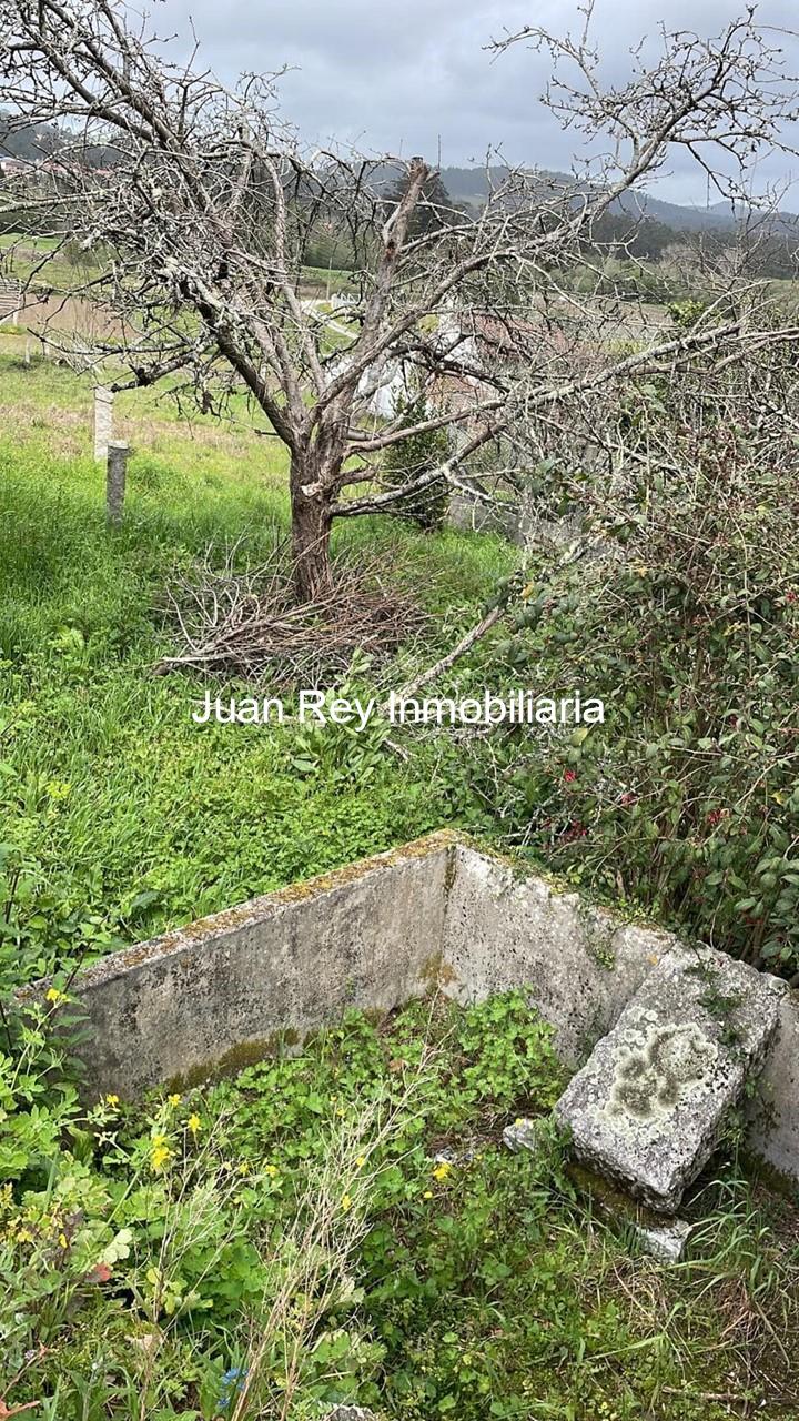 Foto 6 1010 FINCA EDIFICABLE A LA VENTA EN MEIS