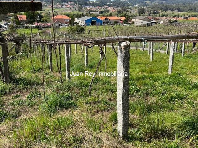 1012 FINCA EDIFICABLE A LA VENTA EN MEIS