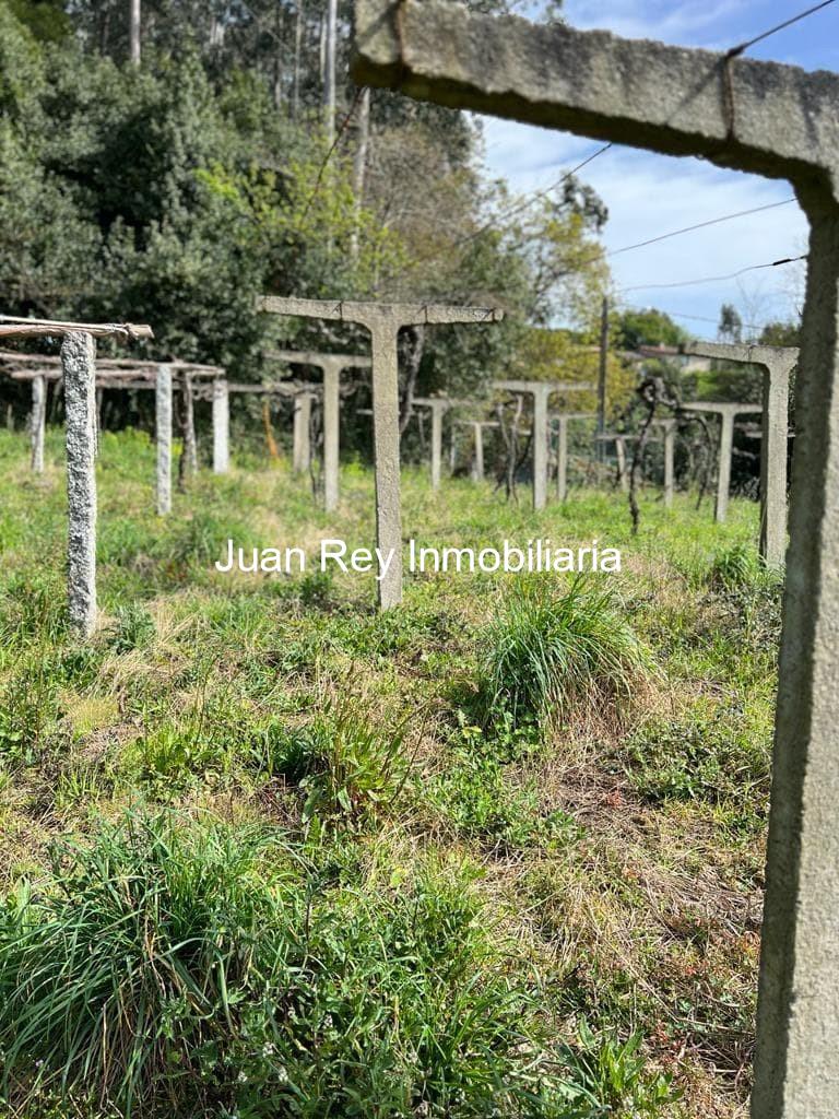 Foto 4 1012 FINCA EDIFICABLE A LA VENTA EN MEIS