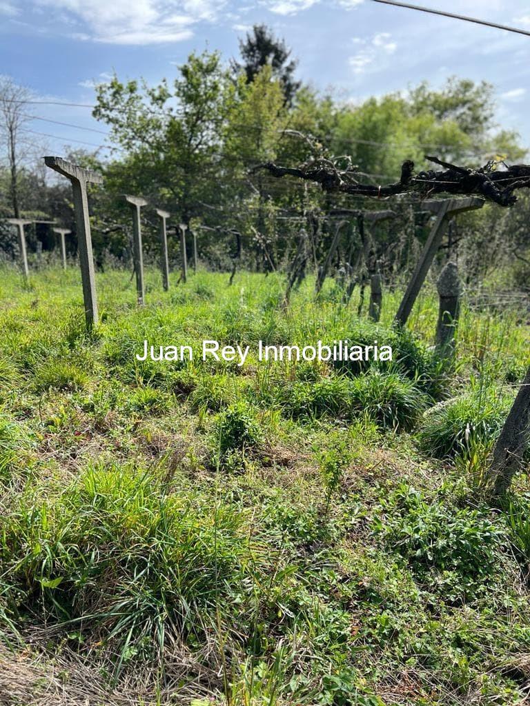 Foto 5 1012 FINCA EDIFICABLE A LA VENTA EN MEIS