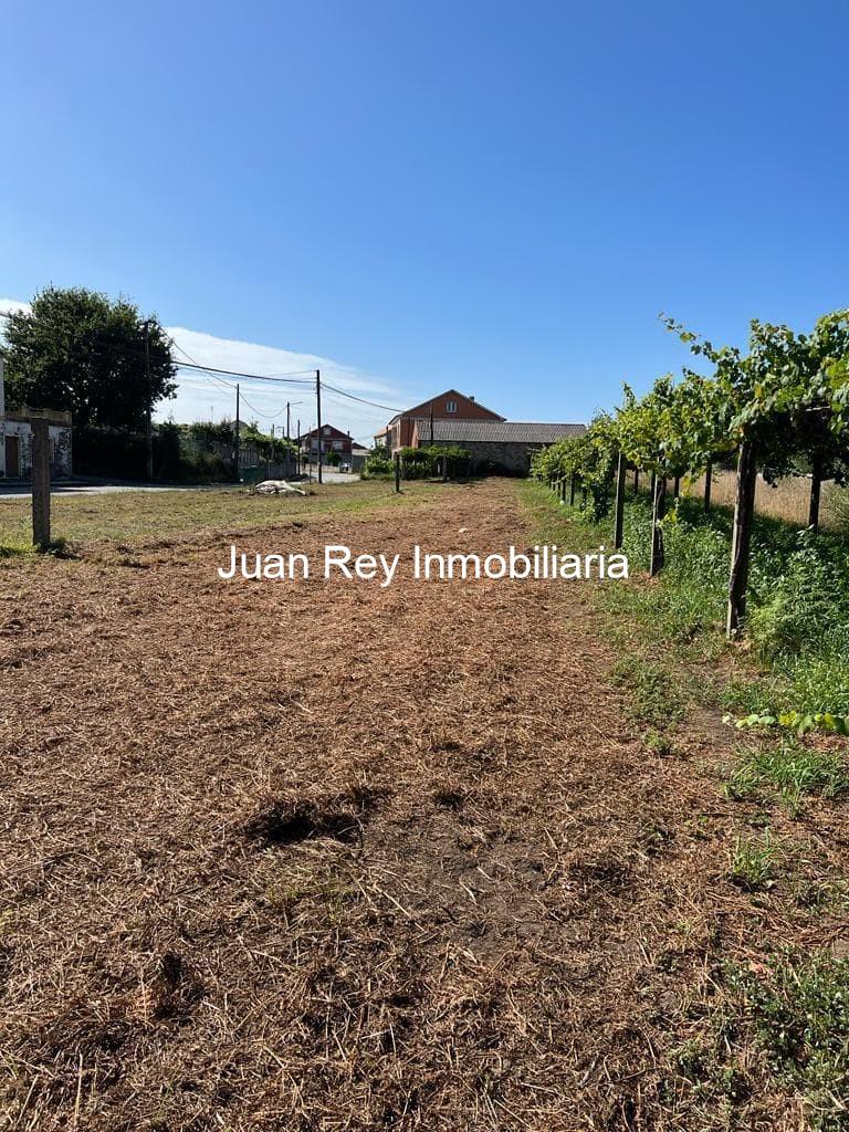 Foto 1 1026 FINCA EDIFICABLE A LA VENTA EN VILARIÑO 