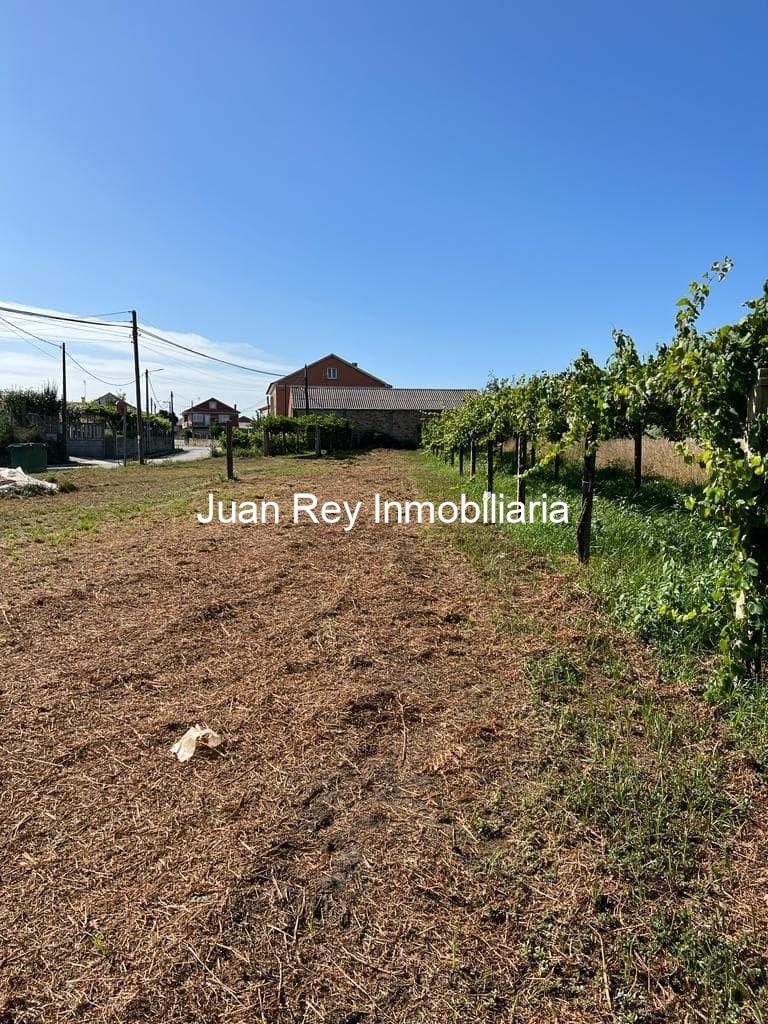 Foto 4 1026 FINCA EDIFICABLE A LA VENTA EN VILARIÑO 