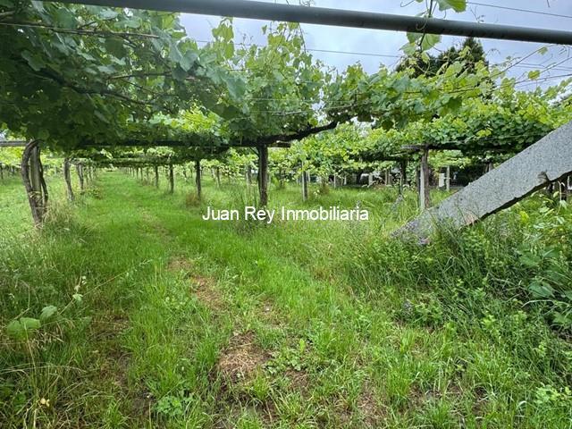 1046 FINCA EDIFICABLE EN RIBADUMIA