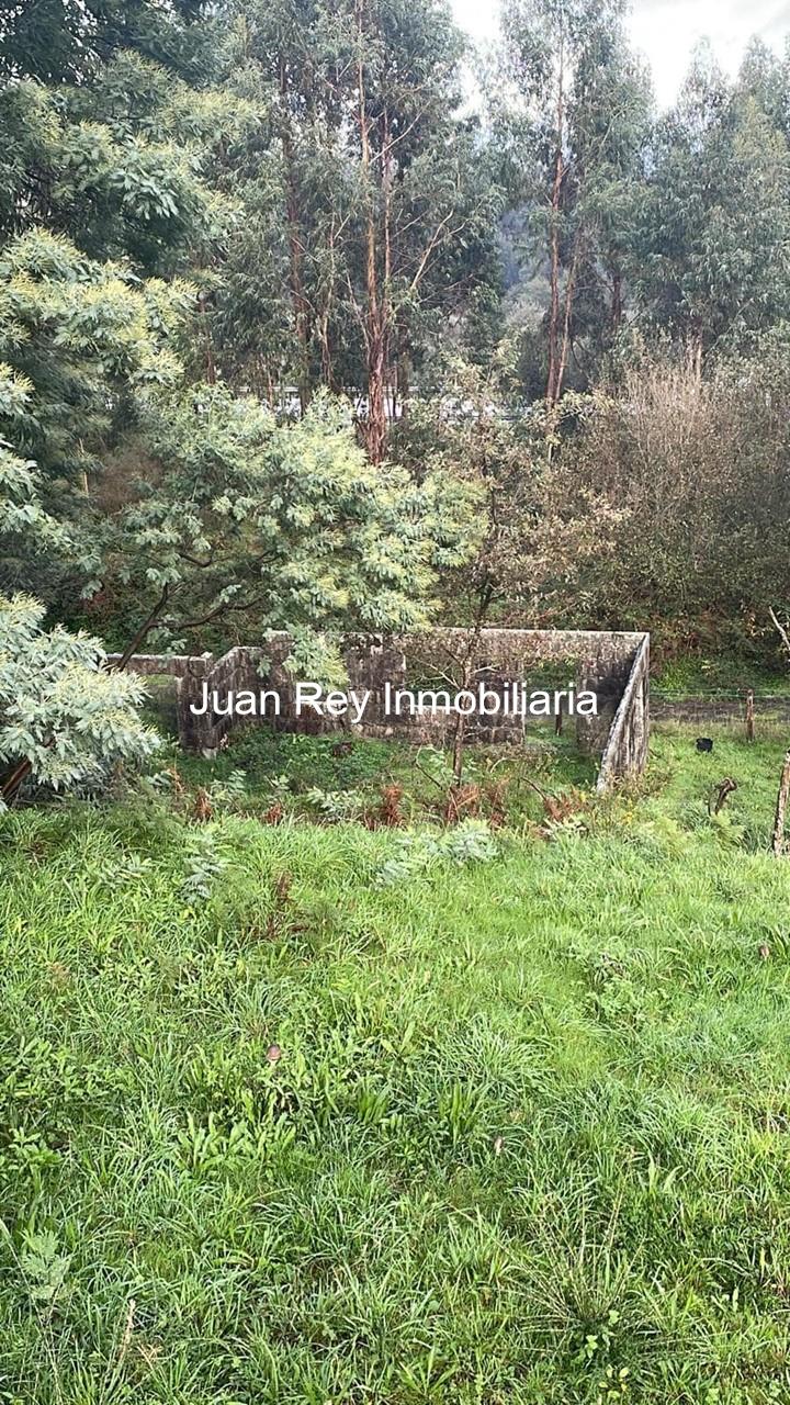 Foto 10 16 FINCA EDIFICABLE A LA VENTA