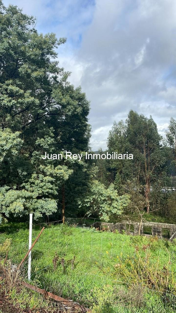 Foto 11 16 FINCA EDIFICABLE A LA VENTA