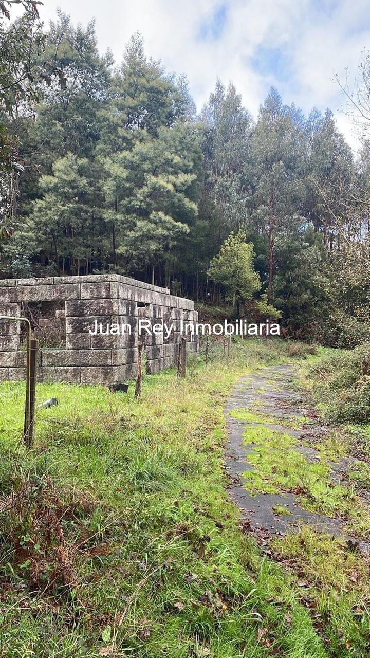 Foto 4 16 FINCA EDIFICABLE A LA VENTA