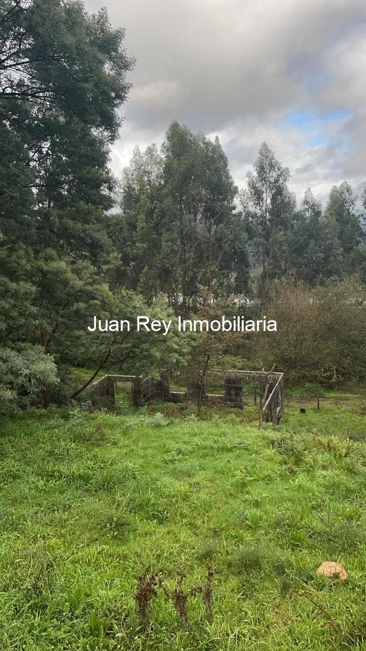 Foto 7 16 FINCA EDIFICABLE A LA VENTA