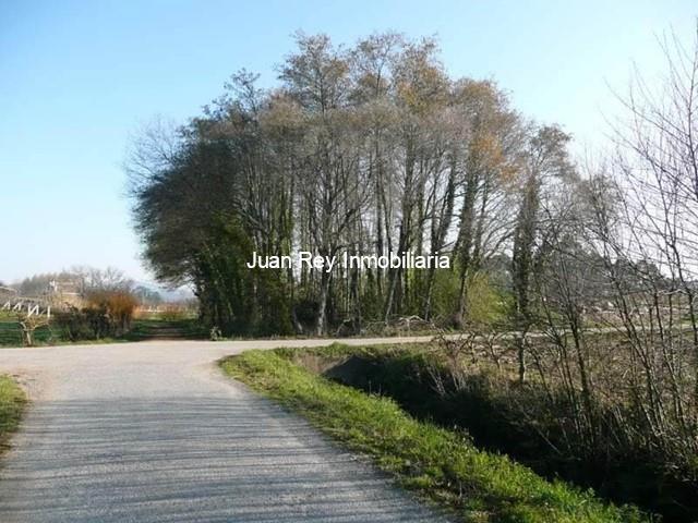 193 FINCA EN VENTA - Ribadumia