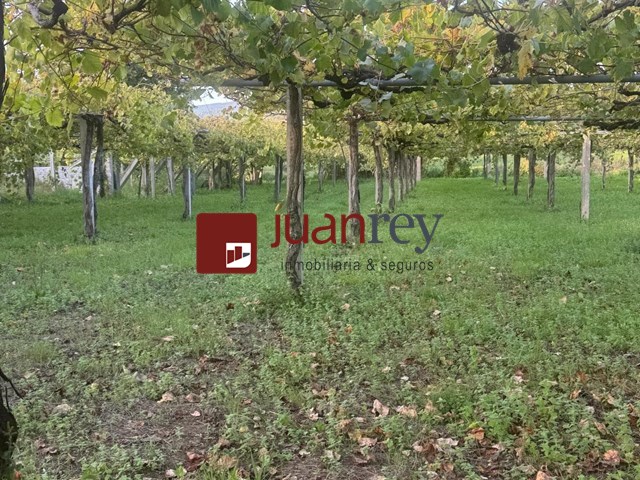 217 FINCA DE ALBARIÑO - Ribadumia