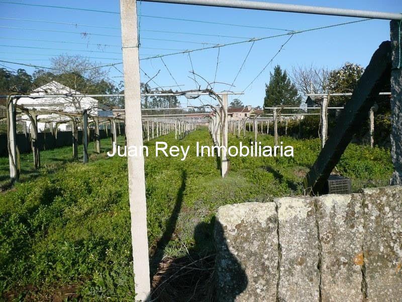 Foto 1 238 FINCA EDIFICABLE A LA VENTA