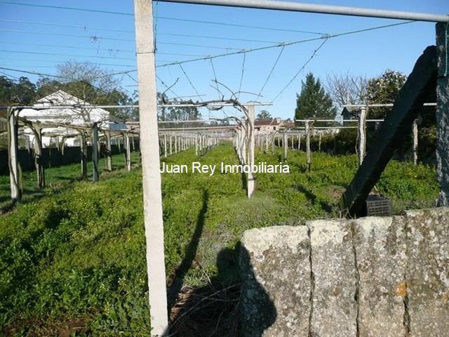 238 FINCA EDIFICABLE A LA VENTA - Cambados