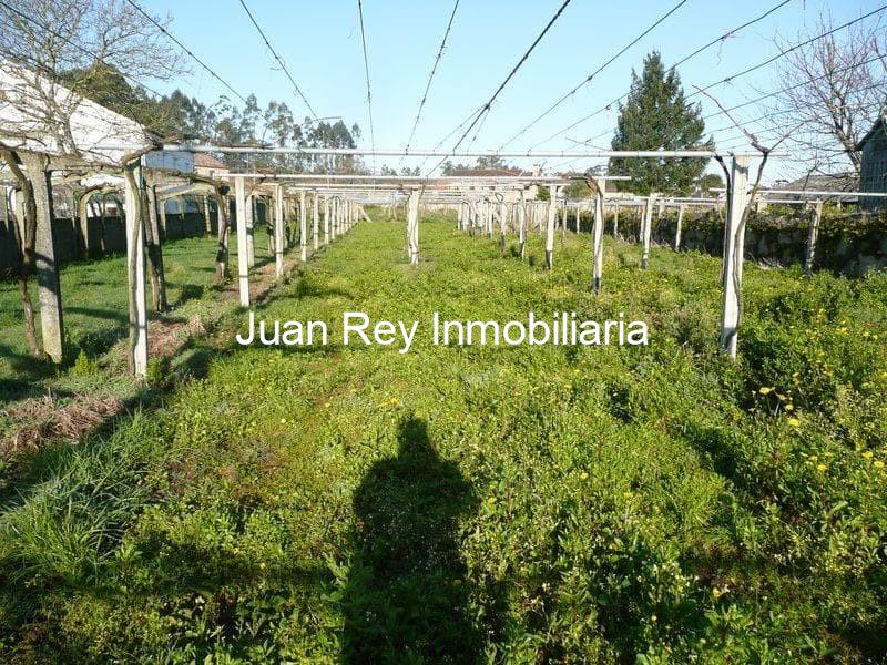 Foto 2 238 FINCA EDIFICABLE A LA VENTA