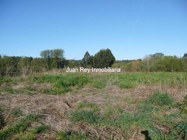 239 TERRENO EN VENTA - Cambados