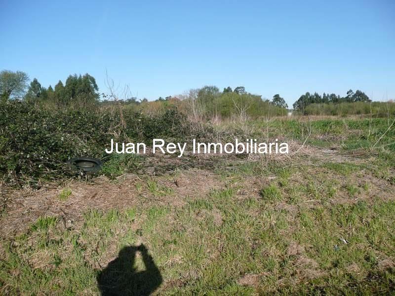 Foto 3 239 TERRENO EN VENTA