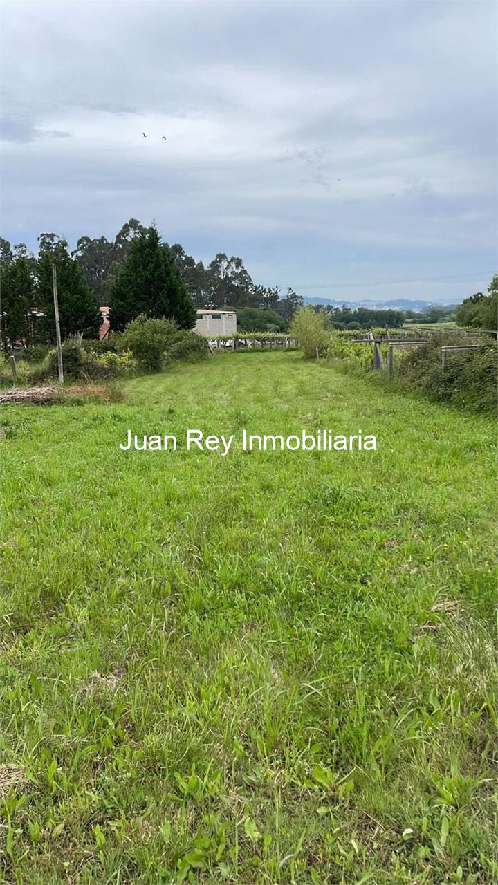 Foto 4 25 FINCA EDIFICABLE A LA VENTA EN MEAÑO