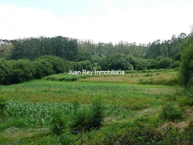251 TERRENO EN VENTA - Barro