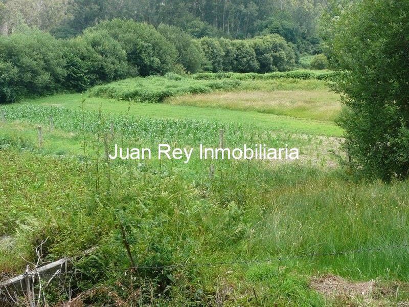 Foto 2 251 TERRENO EN VENTA