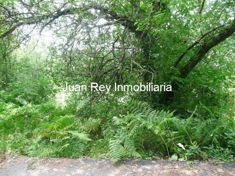 Foto 4 251 TERRENO EN VENTA