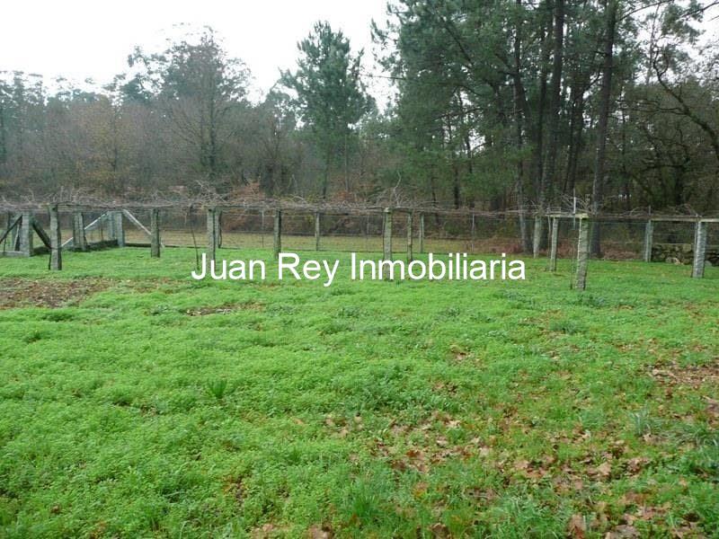 Foto 1 313 FINCA CON PLANTACIÓN A LA VENTA