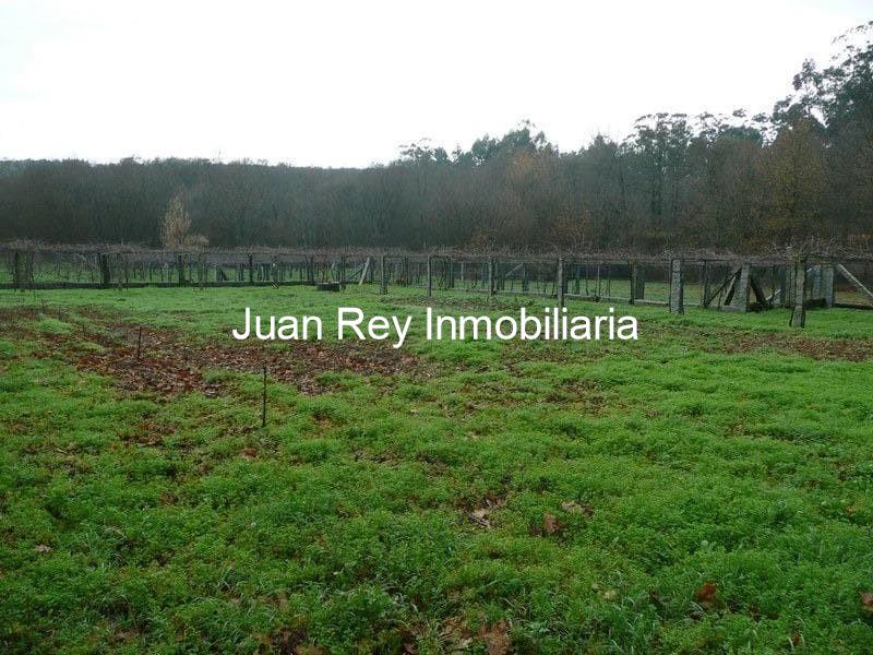 Foto 2 313 FINCA CON PLANTACIÓN A LA VENTA