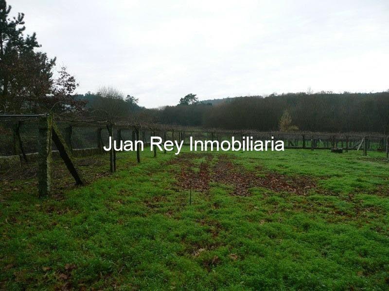 Foto 3 313 FINCA CON PLANTACIÓN A LA VENTA