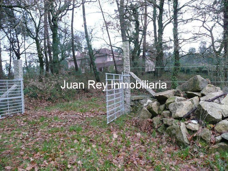Foto 4 313 FINCA CON PLANTACIÓN A LA VENTA