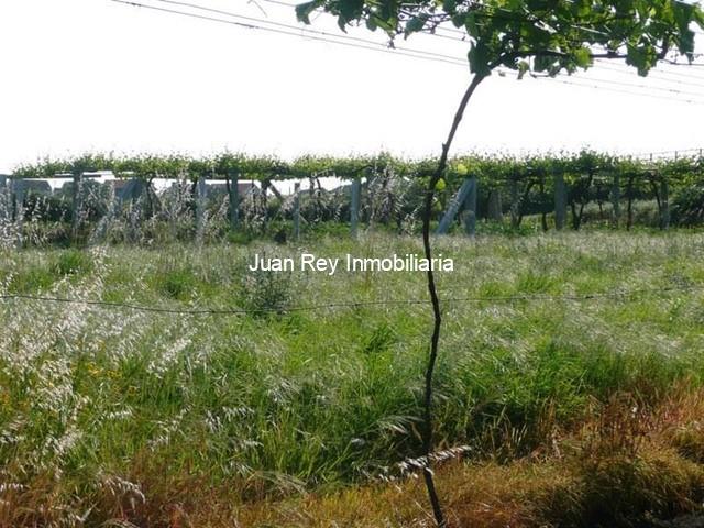 332 FINCA EN VENTA - Cambados