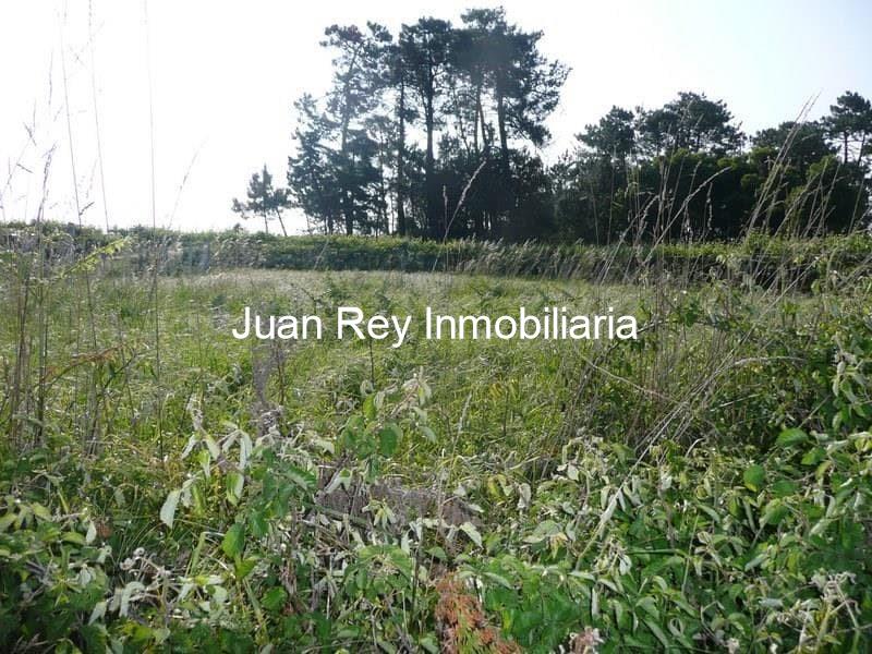 Foto 3 332 FINCA EN VENTA