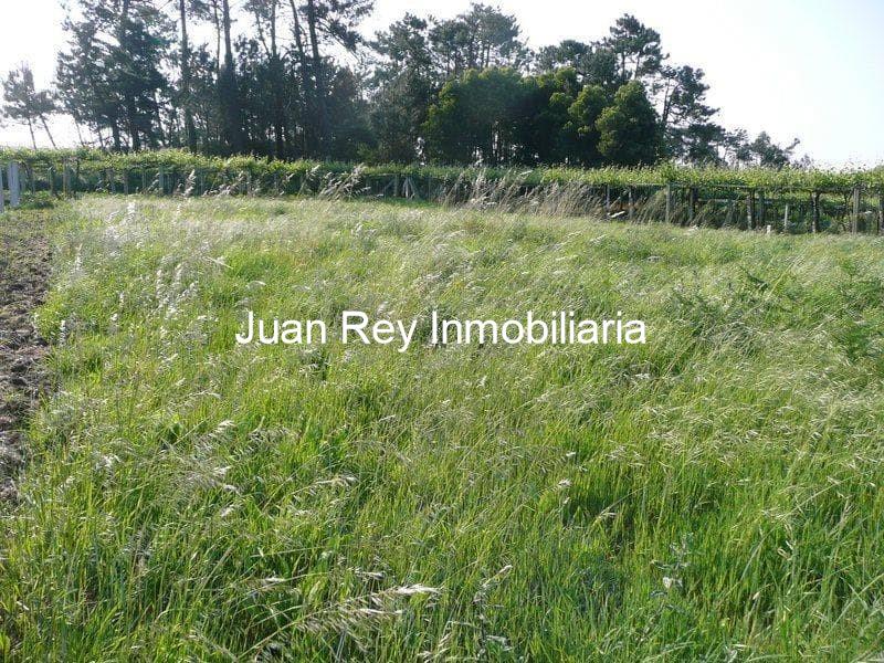 Foto 4 332 FINCA EN VENTA