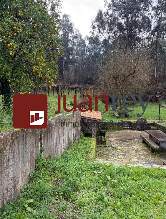 Foto 3  393 VENTA DE TERRENO CON ALBARIÑO