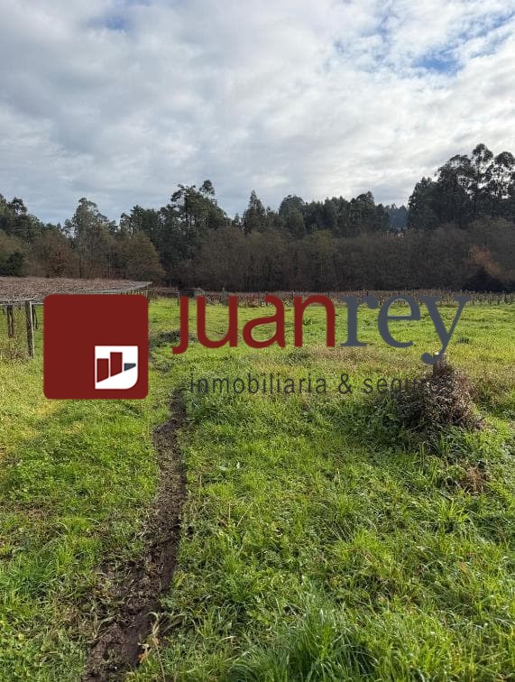 Foto 2 394 TERRENO EN VENTA CON PLANTACION DE TINTO