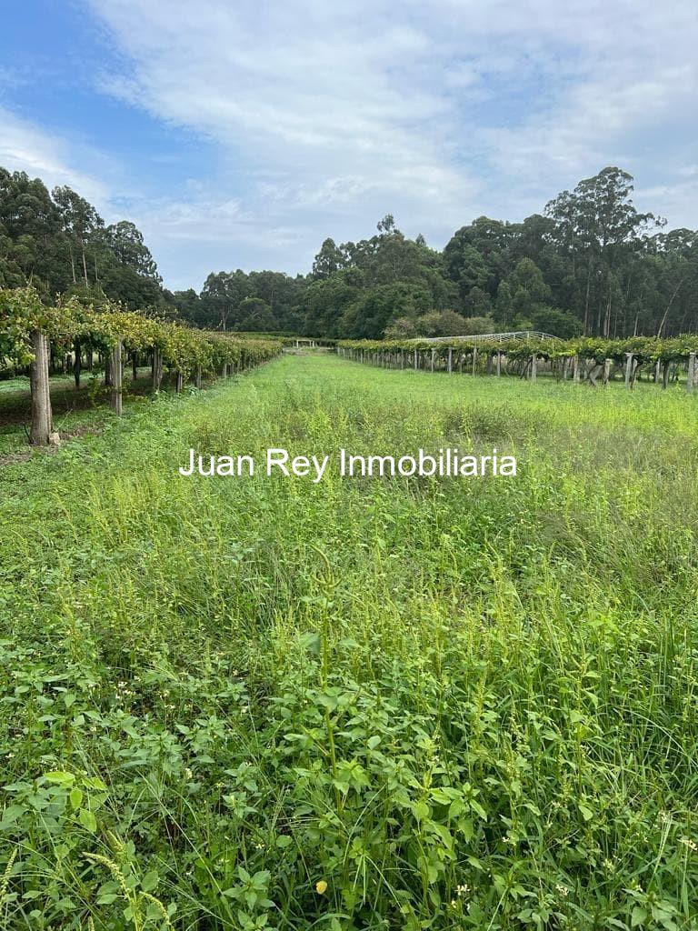 Foto 1 4 TERRENO A LA VENTA EN VILLANUEVA DE AROSA
