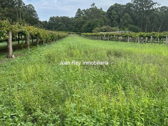 4 TERRENO A LA VENTA EN VILLANUEVA DE AROSA - Vilagarcía de Arousa