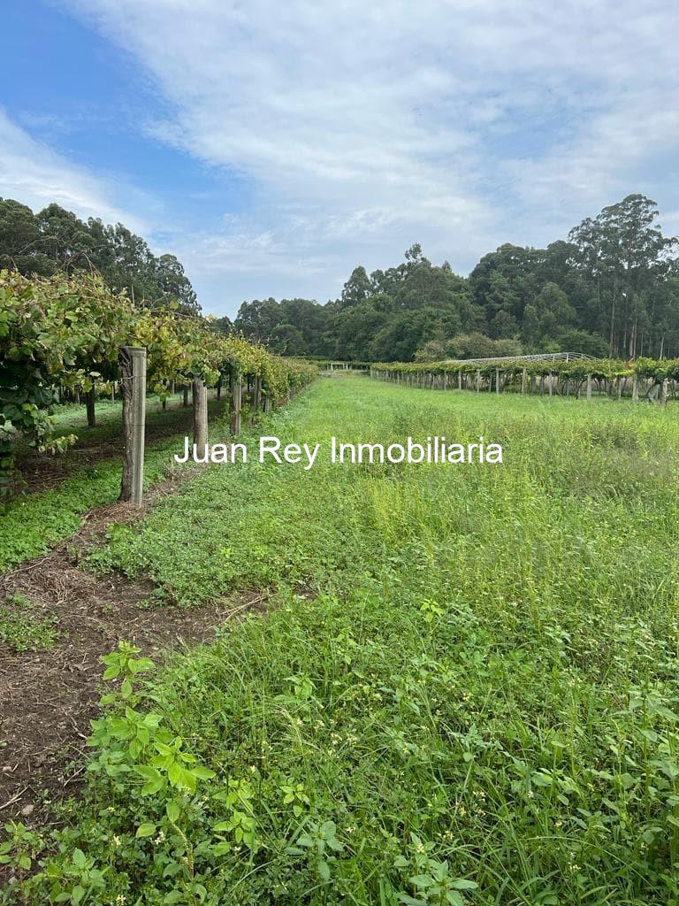 Foto 5 4 TERRENO A LA VENTA EN VILLANUEVA DE AROSA