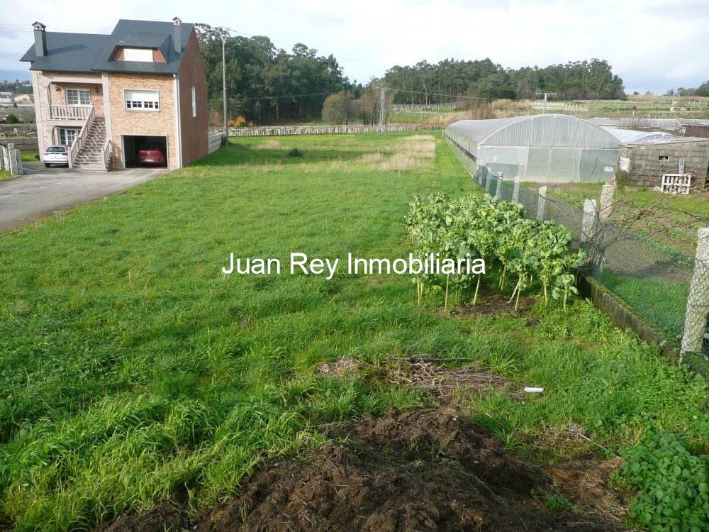 Foto 6 468 FINCA EDIFICABLE EN VENTA 