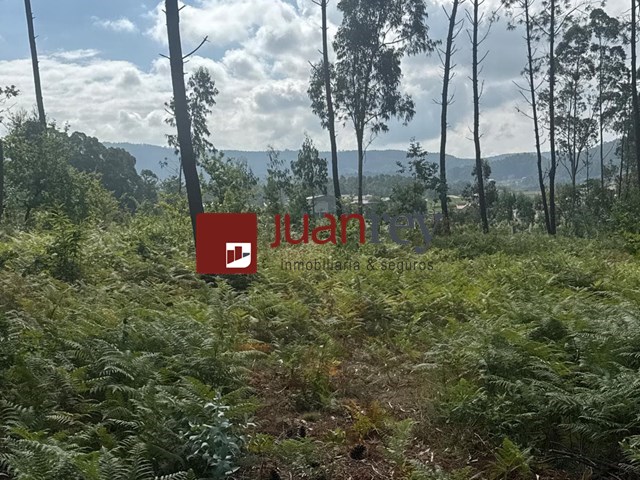 557 VENTA DE TERRENO - Cambados