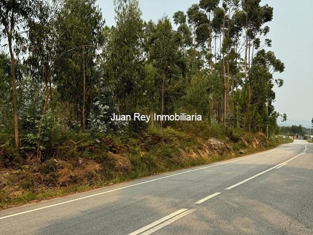 558 TERRENO A LA VENTA EN RIBADUMIA