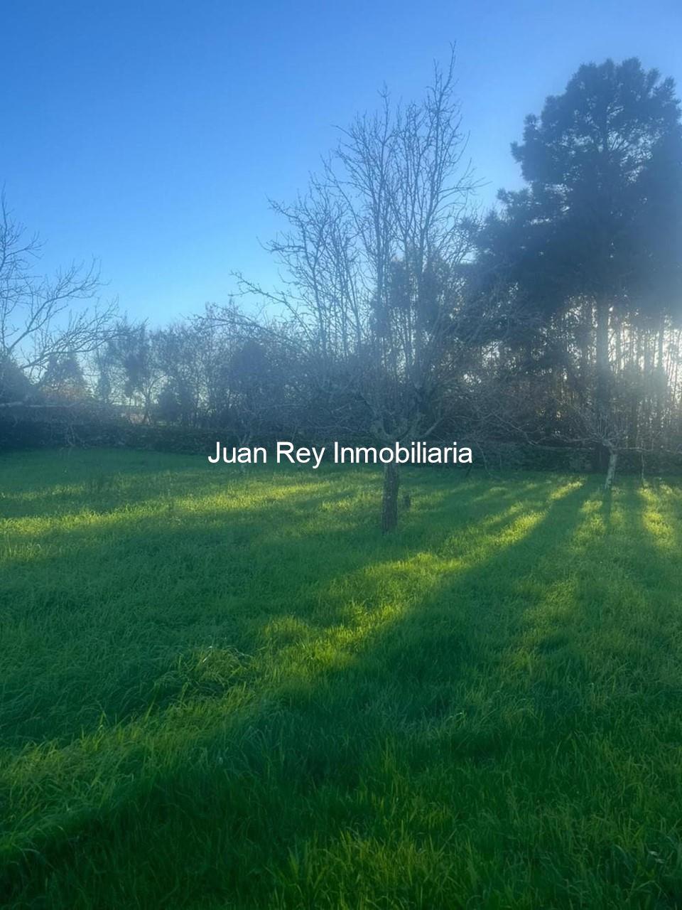 Foto 5 564 FINCA EDIFICABLE A LA VENTA EN RIBADUMIA 