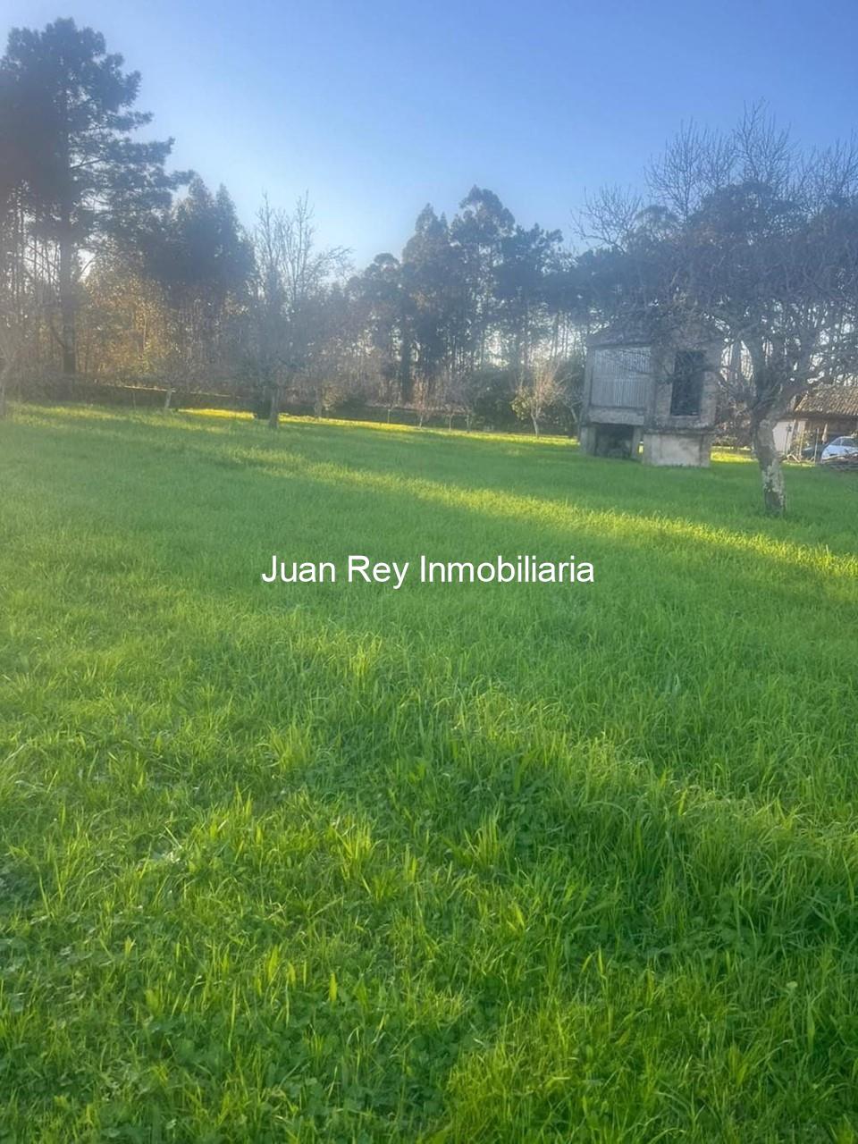 Foto 6 564 FINCA EDIFICABLE A LA VENTA EN RIBADUMIA 